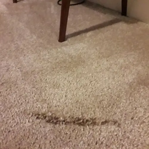 Carpet Burn Repair Parramatta