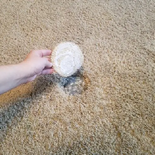 Carpet Hole Repair Parramatta